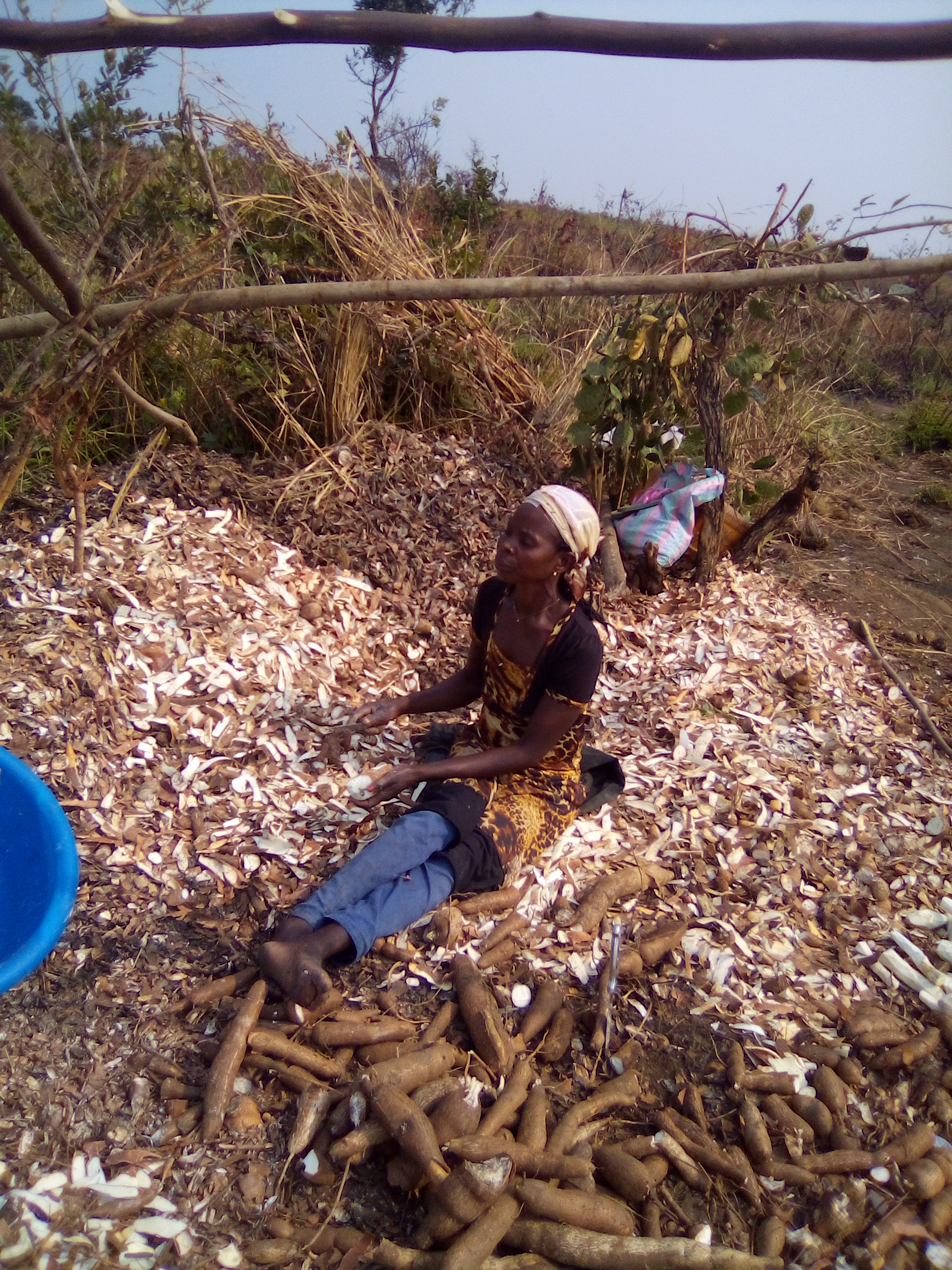 IMG_20190104_130808_3