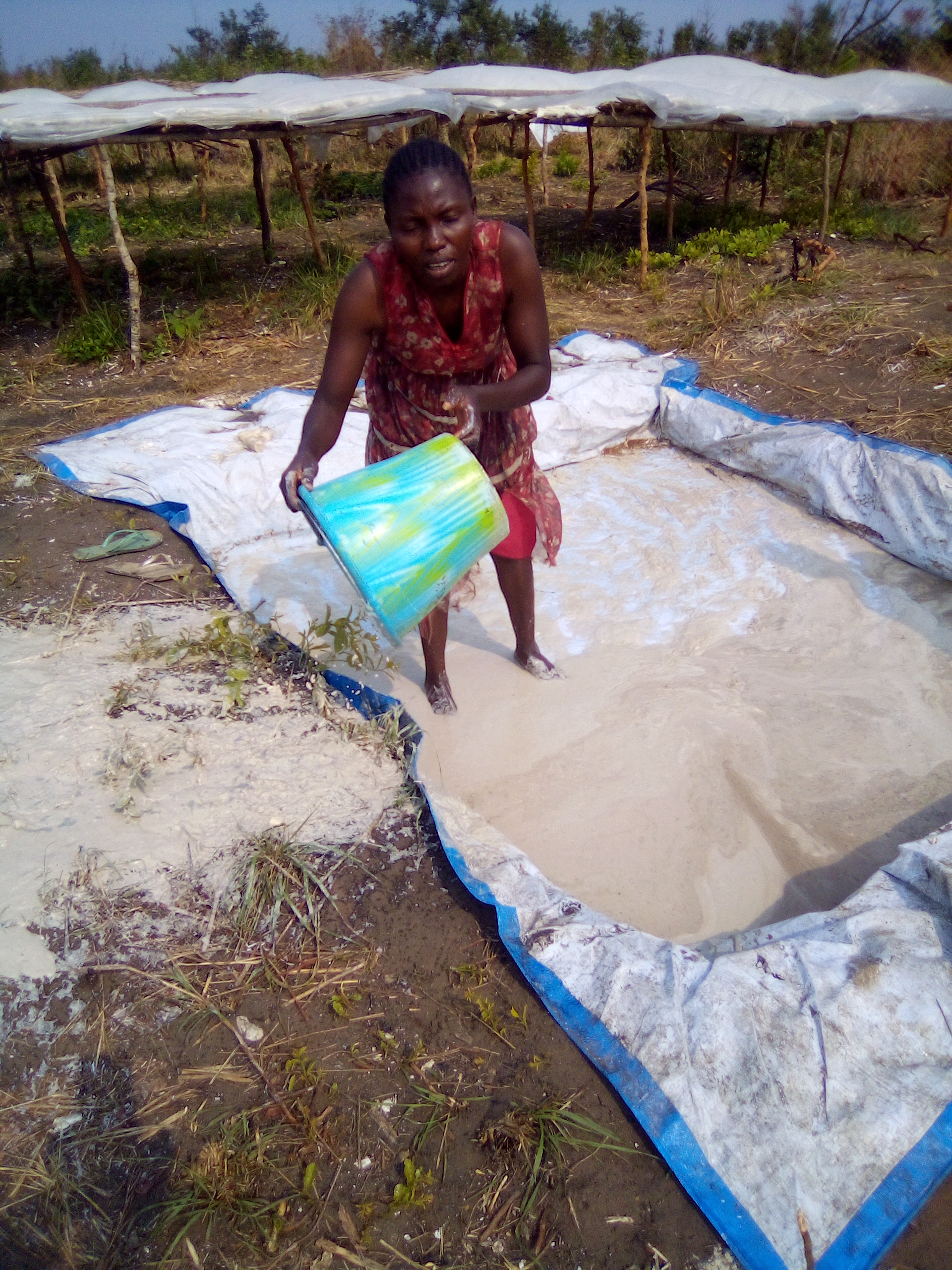 IMG_20190104_131232_2